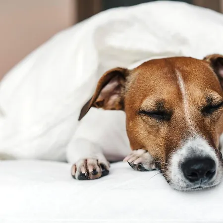 Hotel Garner By Ihg Rüsselsheim