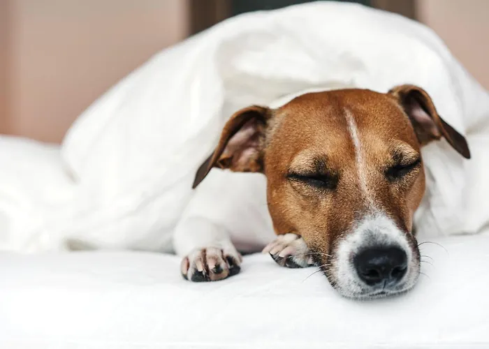 Hotel Garner By Ihg Rüsselsheim